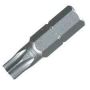 Torx Bit For Masonry Screw